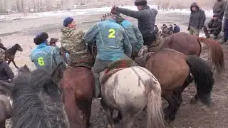 Аламан улак 2-январь, Алай. ТОЛУК ВИДЕО ЖАКЫНДА ЧЫГАТ