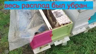 Вот это поворот   !