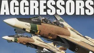 AGGRESSORS | 60+ Pilots and the MASSIVE SCALE OF DCS RED FLAG MULTIPLAYER!
