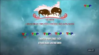 Teaser sự kiện : Lễ hội chọi trâu truyền thống Đồ Sơn 2025 (23/09/2025) @lovetsdhtvchannel1 