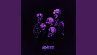 system