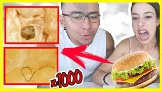 COMO SE VE HAMBURGUESA BAJO UN MICROSCOPIO , Burger King 🍔 #bajomicroscopio