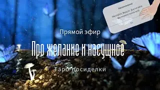Пятничные посиделки с Таро | Центр Алхимия