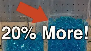 What Makes Water Beads Grow Faster And Bigger? Orbeez Timelapse!