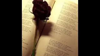 Письмо к женщине Сергей Есенин
