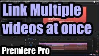 How to link multiple media at once (Media Offline, ignore File Extension, Adobe Premiere Pro)