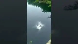 Just send it
