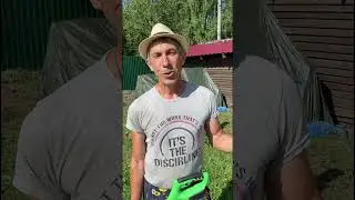 Живу надеждой #деревня #nature #village #козы #shortvideo #shorts #short