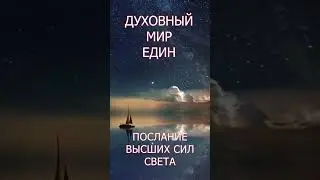 Духовный мир един#shorts  Ирина Белова #психология #саморазвитие #душа #любовь #мистика #медитация