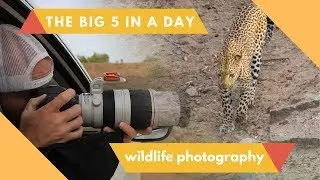 A Day in The Life of a Wildlife Photographer in Africa