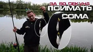 Как поймать сома за 50 секунд