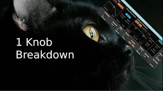 New Ableton Reverb has a new button