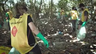 Ecofaxina