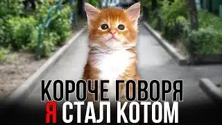 КОРОЧЕ ГОВОРЯ, Я СТАЛ КОТОМ [От первого лица] | КОРОЧЕ ГОВОРЯ, БЕЗДОМНЫЙ КОТЁНОК