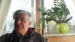 ромашки-лютики