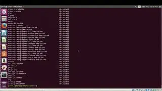 How to check installed package in Linux terminal
