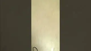Typical school in Ohio.mp4