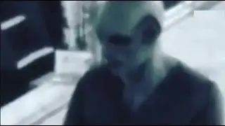 Reptilians Shapeshifters Caught on Security Camera in Brazil and other really weird sightings