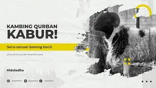 Keseruan Idul Adha 1442H