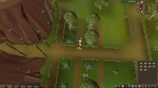 Runescape 1212