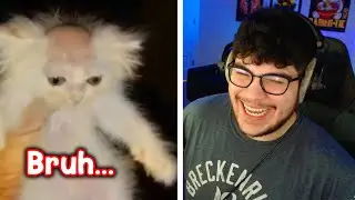 Everytime I Laugh, I Lose Money #16