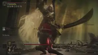 Luckiest fight ever | ELDEN RING shadow of the erdtree final boss