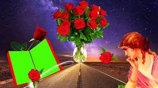 Beautiful Green Screen frame effect New Shaadi background frame effect Full HD