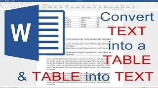 How to convert Text into Table