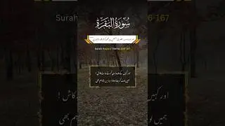 Surah Baqara Verse 166-167 Translation in Urdu #quran #quranrecition #youtubeshorts