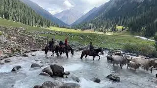 Fantastic place for relaxing your mind - ASMR