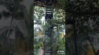 Джарахов живёт в джунглях на деревьях