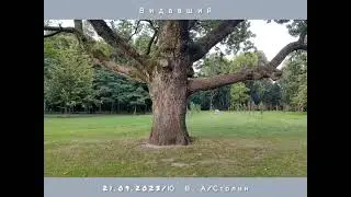 Видавший