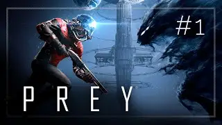 Prey: Стрим 1-ый