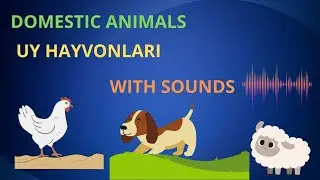 INGLIZ TILIDA UY HAYVONLARI  || Domestic animals in English with sounds
