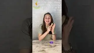 Массаж для детей с щеткой "Поросятки" #игрыдлядетей #массаждлямалышей #логоритмика
