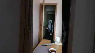 скелет