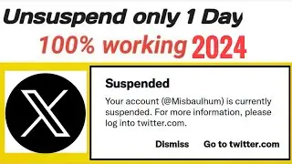 How to recover suspended twitter account 2024
