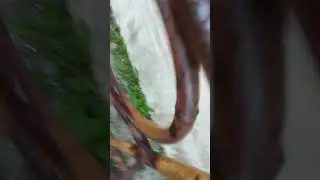 заброшенная площадка часть 1