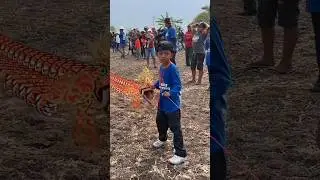 Little boy pulled by dragon kite