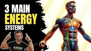 Bioenergetics: The 3 Main Energy Systems || NASM-CPT Chapter 8
