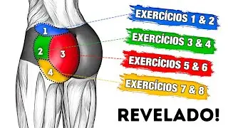 8 Melhores Exercícios Para Aumentar Glúteos Em Casa [DEFINITIVO] Sem Equipamento e Sem Impacto