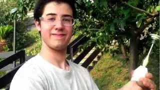 tagliare il prato con un minipimer