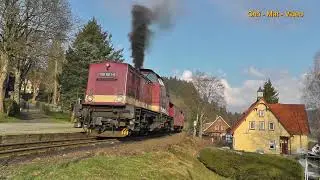 Mit dem Harzkamel auf der Harzquerbahn