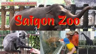 Khám phá Sở thú Sài Gòn