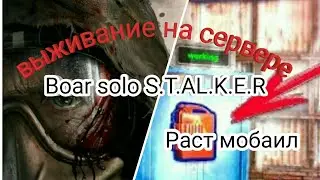 Last Day Rules Survival. Соло вы живание на Boar stalker solo. #1