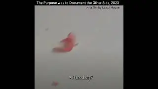 Laisul Hoque, The Purpose was to Document the Other Side (2023)