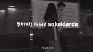 Issız sokaklar (Lyrics)