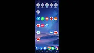 How to set storage permission and default settings in Xiaomi Mi Browser? Allow access to storage