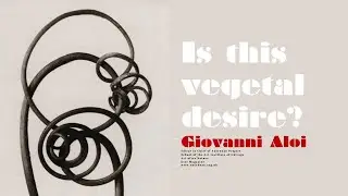 Is this Desire? On Plants and Consciousness