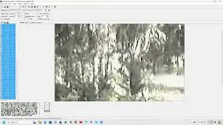 What Can Be Learned from the Paul Freeman Sasquatch Video?